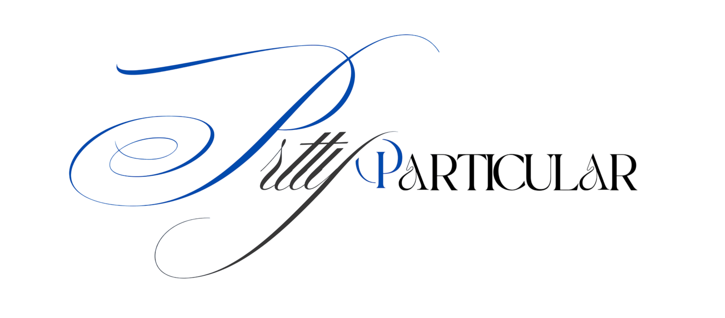 PrttyParticular logo